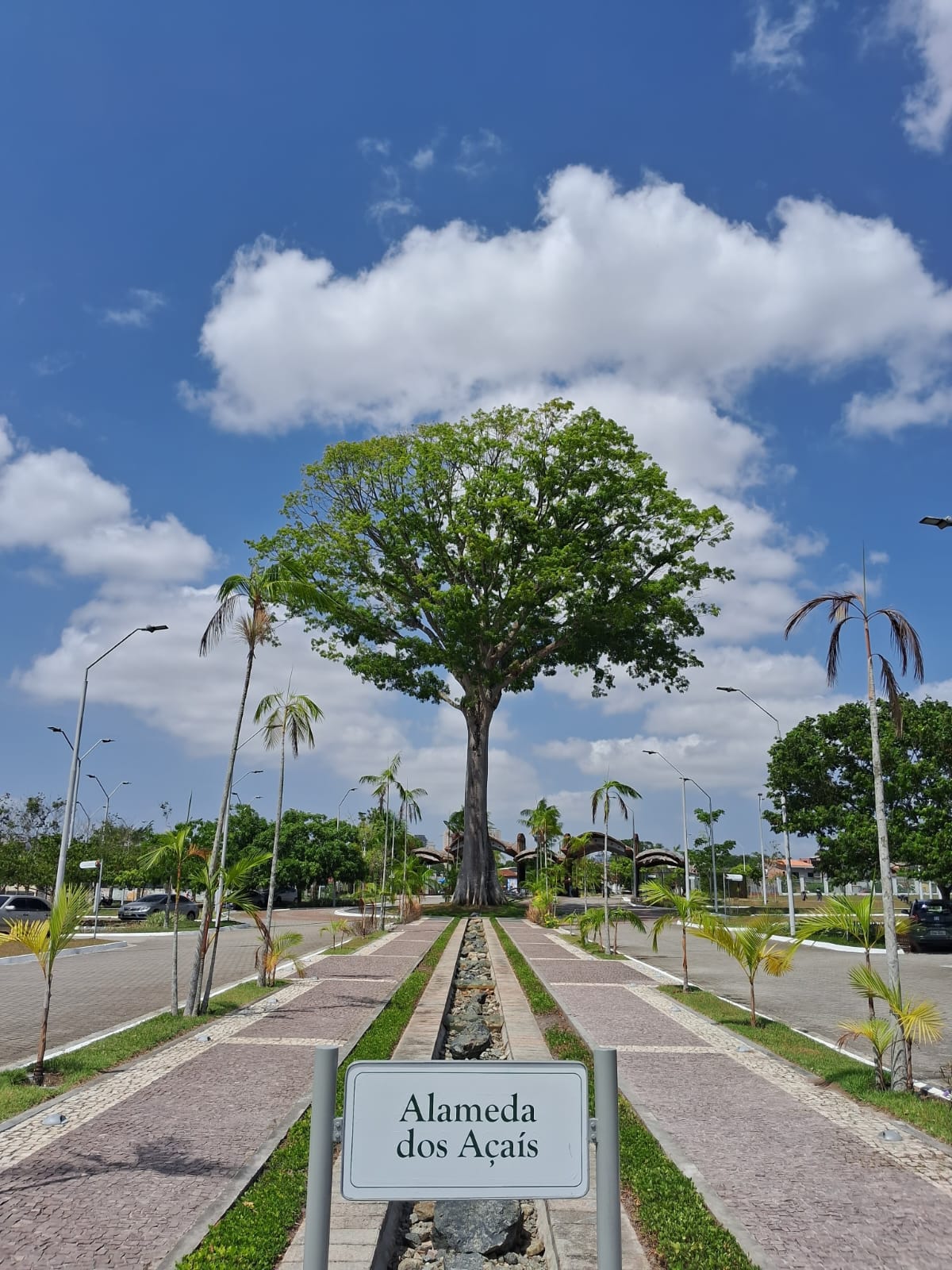 FGV